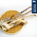 【阿家海鮮】生凍鱈場蟹腳 3L(1000g±10%/半邊蟹腳/5%保護冰)